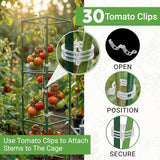 Tomato Cage Square - Large Trellis Stakes and Plant Support Structures for Vegetables and Climbing Plants - Tall Tomato Cages for Garden, Pots, Raised Garden Bed Outdoor Supplies (6 Pack - Up to 58")