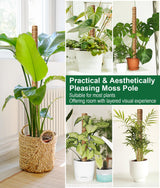 EAONE 96'' Moss Pole for Plants Indoor, 6 Pack 16” Monstera Plant Support Moss Stick for Climbing Plants, Stackable Coir Totem Pole Monstera Stakes with 12 Plant Labels & 100 Ties for Potted Plants