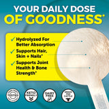 Viva Naturals Collagen Peptides Powder - Grass-Fed Hydrolyzed Bovine, Type I & III - 19 g Protein, Unflavored, Easy Dissolving - Joint, Skin, Hair & Nail Support - Paleo, Keto, Non-GMO - 1lb