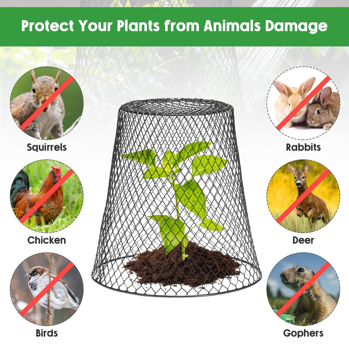 Geosar 10 Pcs 9 inch Chicken Wire Cloche Plant Protector Cover Metal Garden Cloche Dome for Plants Chicken Wire Protection Basket with Garden Stakes for Avoiding Rabbit Bird Small Animals Eat (Black)
