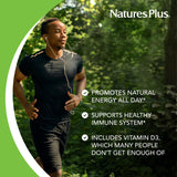 Natures Plus Source of Life - 180 Tablets - Multivitamin & Mineral Supplement with Concentrated Whole Foods - Gluten Free, Vegetarian - 60 Servings