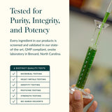 Gaia Herbs Bacopa - Brain and Cognitive Support Herbal Supplement - Made with Bacopa (Bacopa Monnieri) to Help Support a Thriving Mind - 60 Vegan Liquid Phyto-Capsules (Up to 60-Day Supply)