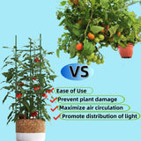 60PCS Plant Stake Arms for Tomato Cage，Expandable 11.8" Plant Supports Trellis Connector Clips for 11mm Garden Plants Stakes Stand Outdoor/Indoor