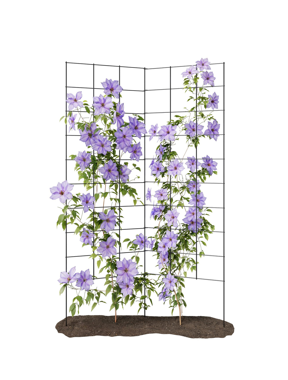 2-Panel Folding Garden Trellis - Maximize Your Garden Space, Durable Powder Coated Steel Frame, Easy-to-Use Design, Perfect for Climbing Vines, Vegetables, Beans, Tomato, Cucumber, 35x58"