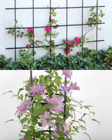 2-Pack Garden Trellis for Climbing Plants Outdoor Indoor, 47-Inch Adjustable Metal Trellis for Potted Plants, Tall Plant Support for Jasmine, Clematis and Other Climbing Flowers