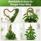 2 Pack 63'' Bendable Moss Pole Monstera Plant Support for Large Climbing Indoor Plants - Stakes for Potted Climbers - Tall Sticks Indoor Trellis for Houseplants - Accessories for Monstera Pot