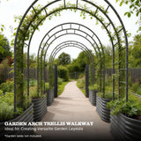 Anleolife 4x6ft Galvanized Garden Arch Trellis, Raised Beds and Vines