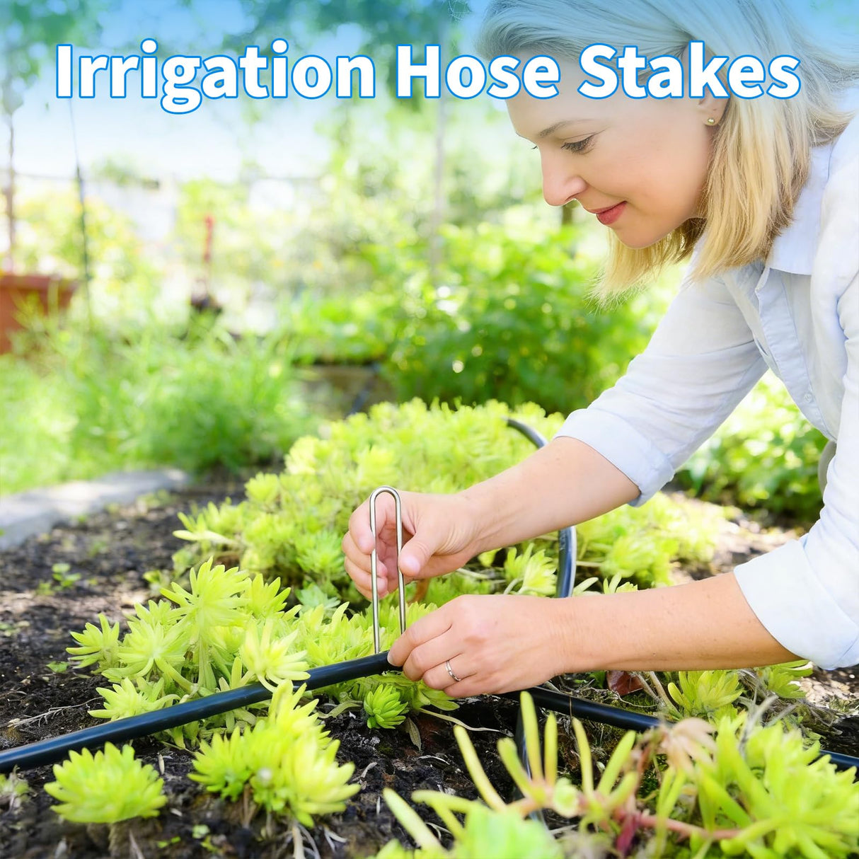 MySit 200 Pack 4 Inch Garden Stakes Galvanized Drip Irrigation Stakes