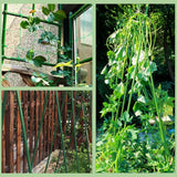 BOTINDO Garden Stakes 36 Inches Sturdy Green Plant Sticks 25 Pack, Metal Tomato Stakes Support, Yard Plant Support Cage for Potted Plants, Tomatoes, Trees, Cucumber, Fences, Beans (36 inch)