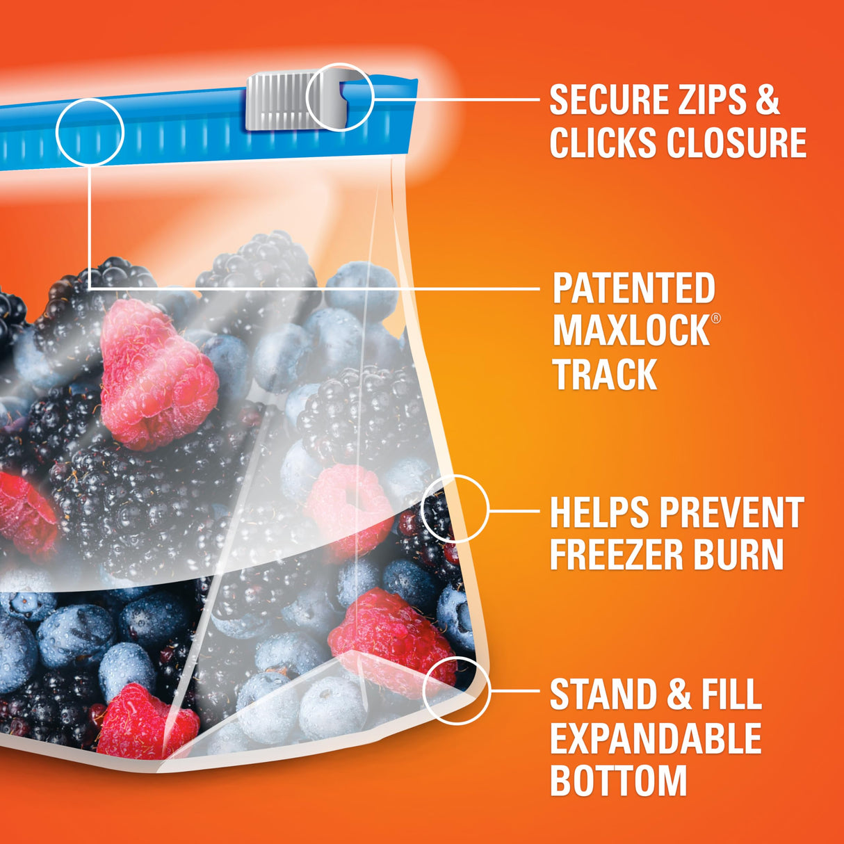 Hefty Slider Freezer Storage Bags, Gallon Size, 25 Count (Pack of 9), 225 Total