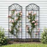 VOXOR Metal Trellis for Climbing Plants Outdoor, 60 * 19.7 Inch Tall Garden Trellis with Black Rustproof Coating, Decorative Rose Trellis for Climbing Roses, Vines, and Flowers, 2 Pack