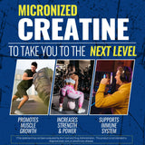 Micronized Creatine Monohydrate Gummies 5000MG for Women & Men, with Amino Acid Blend, Alpha-GPC, Phosphatidylserine & Vitamin B12 for Muscle Strength, Recovery, Energy, Focus, Sugar Free, 60cts