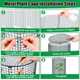 10 Pack Wire Plant Protector with Cover, 16"x12"