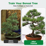 Bonsai Wire (Color, 189FT)