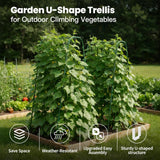 Cucumber Trellis for Raised Bed, Garden Trellis for Climbing Plants Outdoor, Metal Arch Trellis U-Shape Vegetables Support for Tomotoes Grape Vines Beans Peas (Green, 15.7" L x 24" W x 48" H)