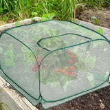 2 Pcs Pop Up Mesh Plant Cover, 35" x 35" x 27.5" Foldable Plant Protector Mesh Plant Enclosure, Garden Net Cage Guard Cover with 8 Ground Stakes for Protecting Plant Vegetable Fruit from Birds Insects