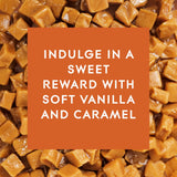 Glade PlugIns Refills Air Freshener, Scented and Essential Oils for Home and Bathroom, Vanilla Caramel Twist, 3.35 Fl Oz, 5 Count