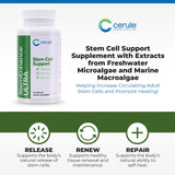 Cerule StemEnhance Ultra Stem Cell Support Supplement with Extracts from Freshwater Microalgae and Marine Macroalgae to Help Increase Circulating Adult Stem Cells and Promote Healing