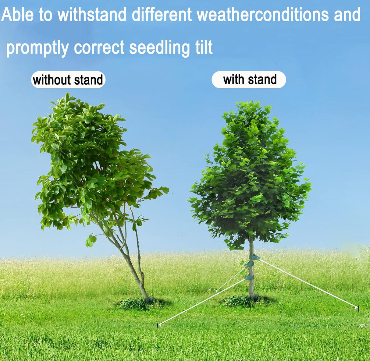 6 Pcs 12 Inch Heavy Duty Steel Tree Stake Kits, Tree Stakes and Supports for Young Trees Against Bad Weather Leaning Tree Anchor Straightening Kit, Bonus Tree Straps & Rope for Anchoring