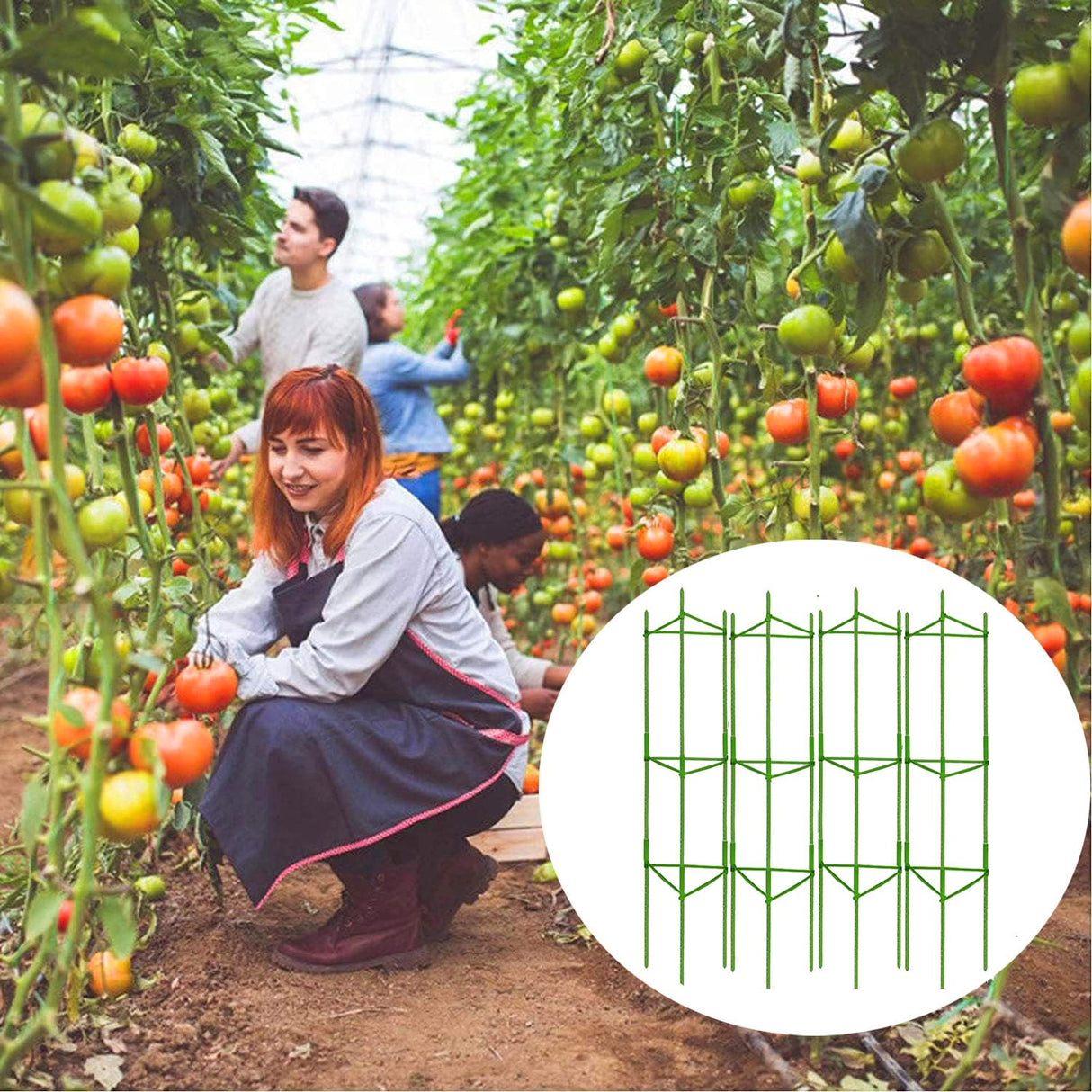 Moirsunt 6 Packs Tomato Cage for Garden, Up to 48Inch Plant Support Stakes