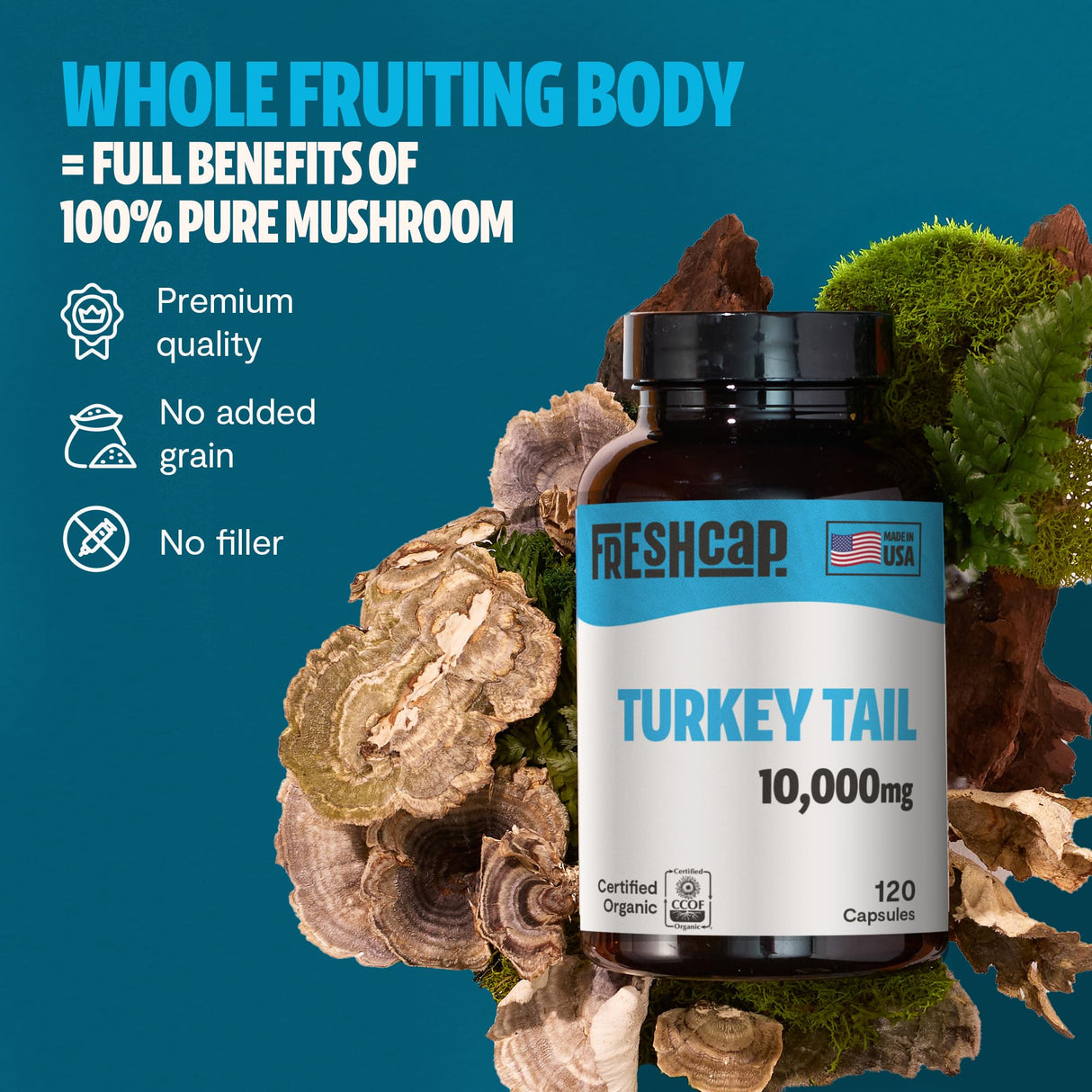 FreshCap Mushrooms Turkey Tail Mushroom Supplement 10,000mg – Organic, Turkey Tail Extract for Immune Support Supplement, Mushroom Supplement Capsules, Ayurveda Immunity Supplement (120 Capsules)