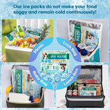 SuccorWare 5 Packs Reusable Ice Packs for Lunch Boxes - 12+ Hour Cooling Ice Gel Pack for Camping, Beach, Office - Ice Packs for Cooler Bag, Cooler Backpacks (600 Grams)