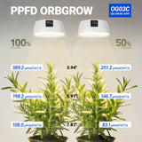 Barrina Orbgrow OG03C Rechargeable Puck Grow Light, 4000K, Cordless Full Spectrum Plant Light for Indoor Plants, Magnetic & Touch Switch with Timer, Small Grow Lamp for Plant Shelf, 1 Pack, White