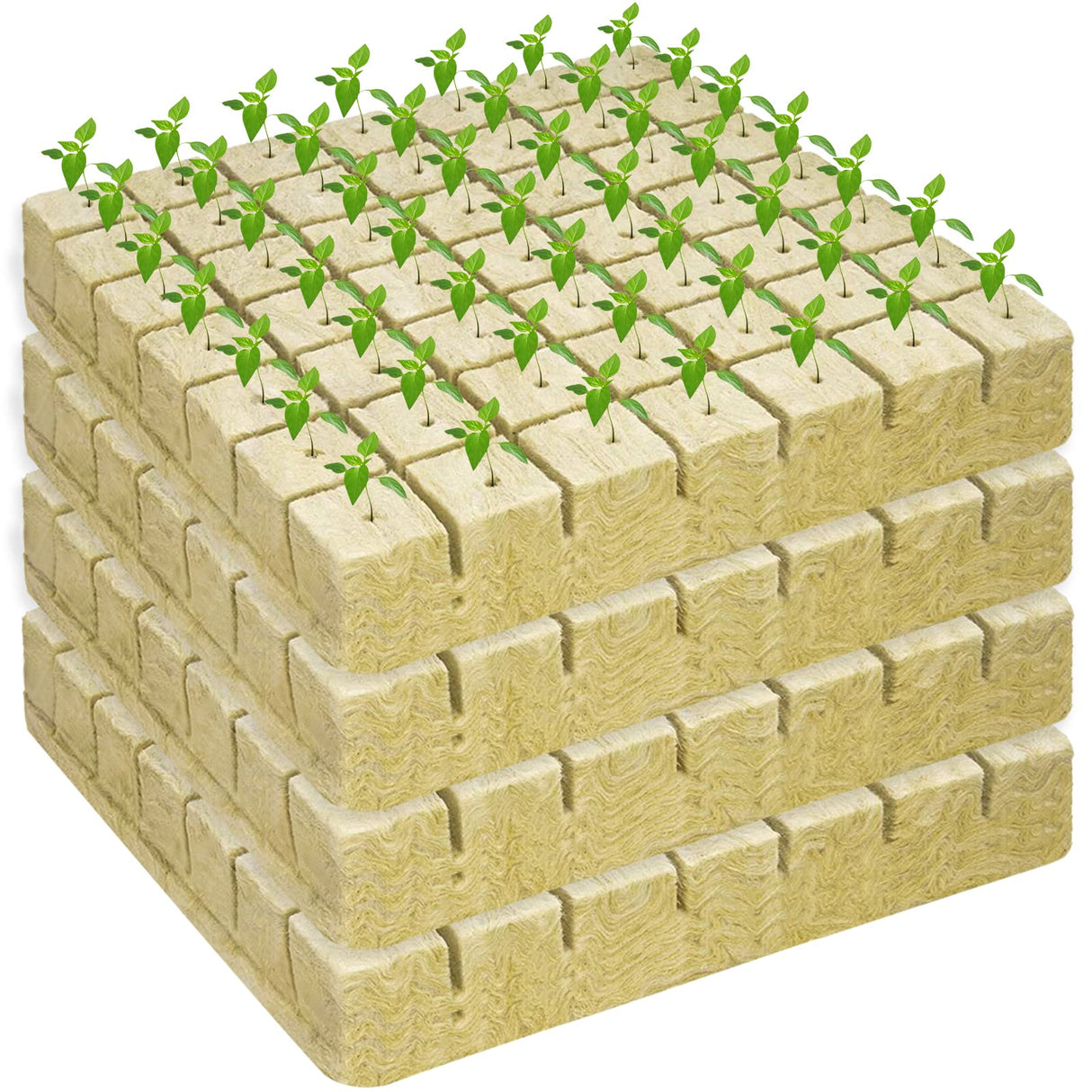 Legigo 1.5 Inch Rockwool Cubes for Hydroponics Seed Starter, Rock Wool Planting Cubes Hydroponic Garden Grow Plugs for Soilless Cultivation Plants Cutting Germination Clone(4 Sheet, 196 Plugs)