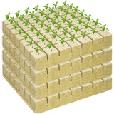 Legigo 1.5 Inch Rockwool Cubes for Hydroponics Seed Starter, Rock Wool Planting Cubes Hydroponic Garden Grow Plugs for Soilless Cultivation Plants Cutting Germination Clone(4 Sheet, 196 Plugs)