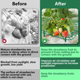 Iceyyyy 12 Packs Square Strawberry Supports-Strawberry Growing Racks- Plant Support Strawberry Stand Holder Growing Frame Keep Berries Clean