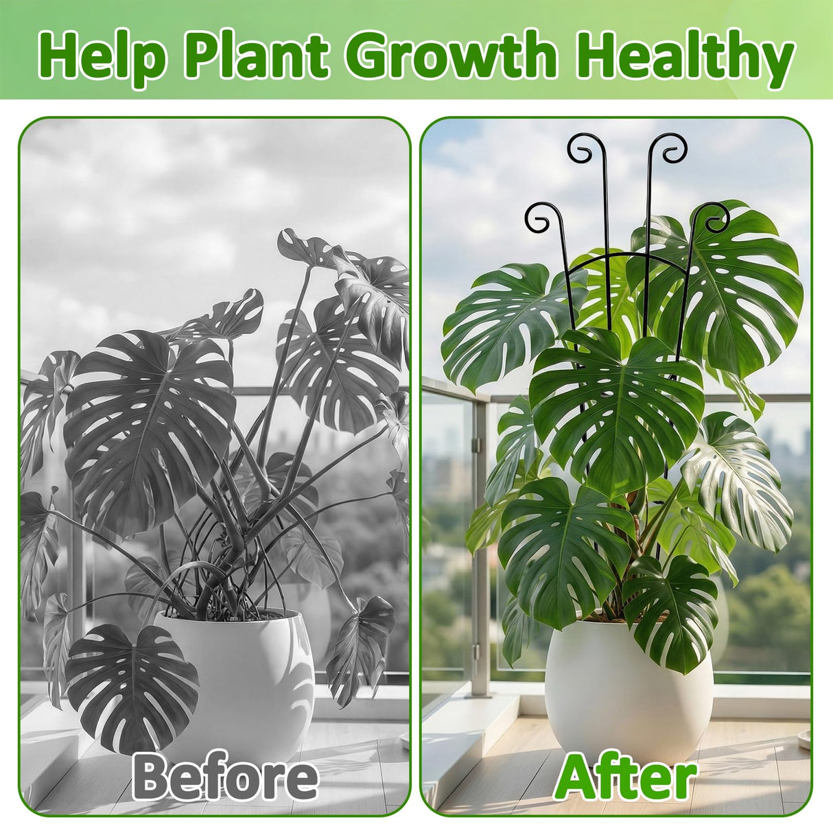 Monstera Plant Support - 32.6 Inch Tall Trellis with 2 Pack Plant Stakes for Your Large Climbing Monstera Deliciosa | Indoor Plant Climbing Frame for Potted Growth