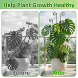 Monstera Plant Support - 32.6 Inch Tall Trellis with 2 Pack Plant Stakes for Your Large Climbing Monstera Deliciosa | Indoor Plant Climbing Frame for Potted Growth