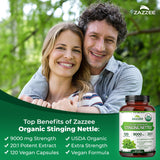Zazzee USDA Organic Stinging Nettle 20:1 Extract, 9000 mg Strength, 120 Vegan Capsules, 4 Month Supply, Concentrated, Standardized 20X Extract, Certified Organic, 100% Vegetarian, All-Natural, Non-GMO
