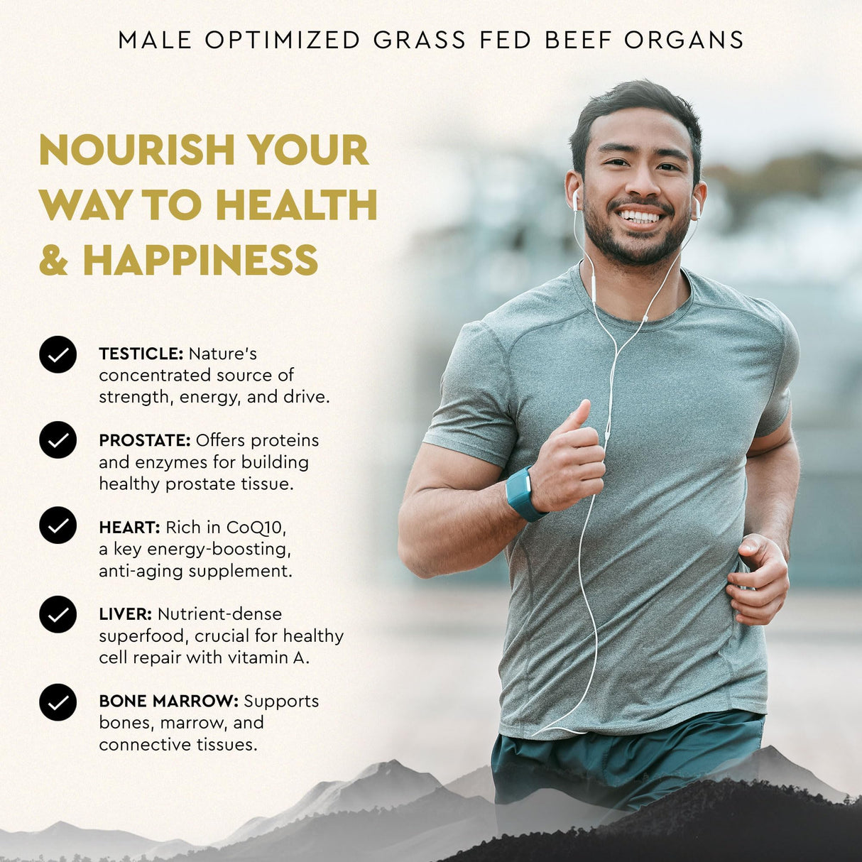 Ancestral Supplements Mofo, Supplements for Men, Support for Energy Levels and Overall Men's Health and Wellness, Non-GMO Grass Fed Beef Organ Supplement with Liver, No Fillers, 180 Capsules