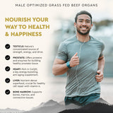 Ancestral Supplements Mofo, Supplements for Men, Support for Energy Levels and Overall Men's Health and Wellness, Non-GMO Grass Fed Beef Organ Supplement with Liver, No Fillers, 180 Capsules