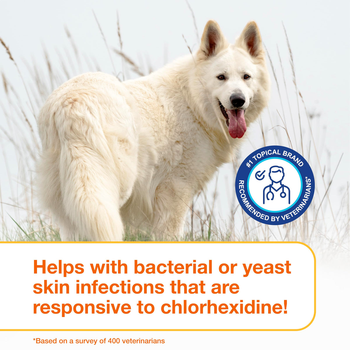 Douxo S3 PYO Medicated Dog Mousse - Bacterial & Yeast Infection Treatment