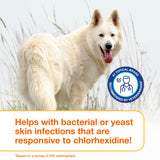 Douxo S3 PYO Medicated Dog Mousse - Bacterial & Yeast Infection Treatment