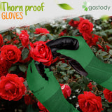 Gastody™ Long Gardening Gloves Women and Men M - Long Sleeve Garden Gloves Multipurpose Heavy Duty Outdoor and Indoor - Long Cuff Garden Gloves - Thorn Resistant Protective Work Rose Pruning Gloves