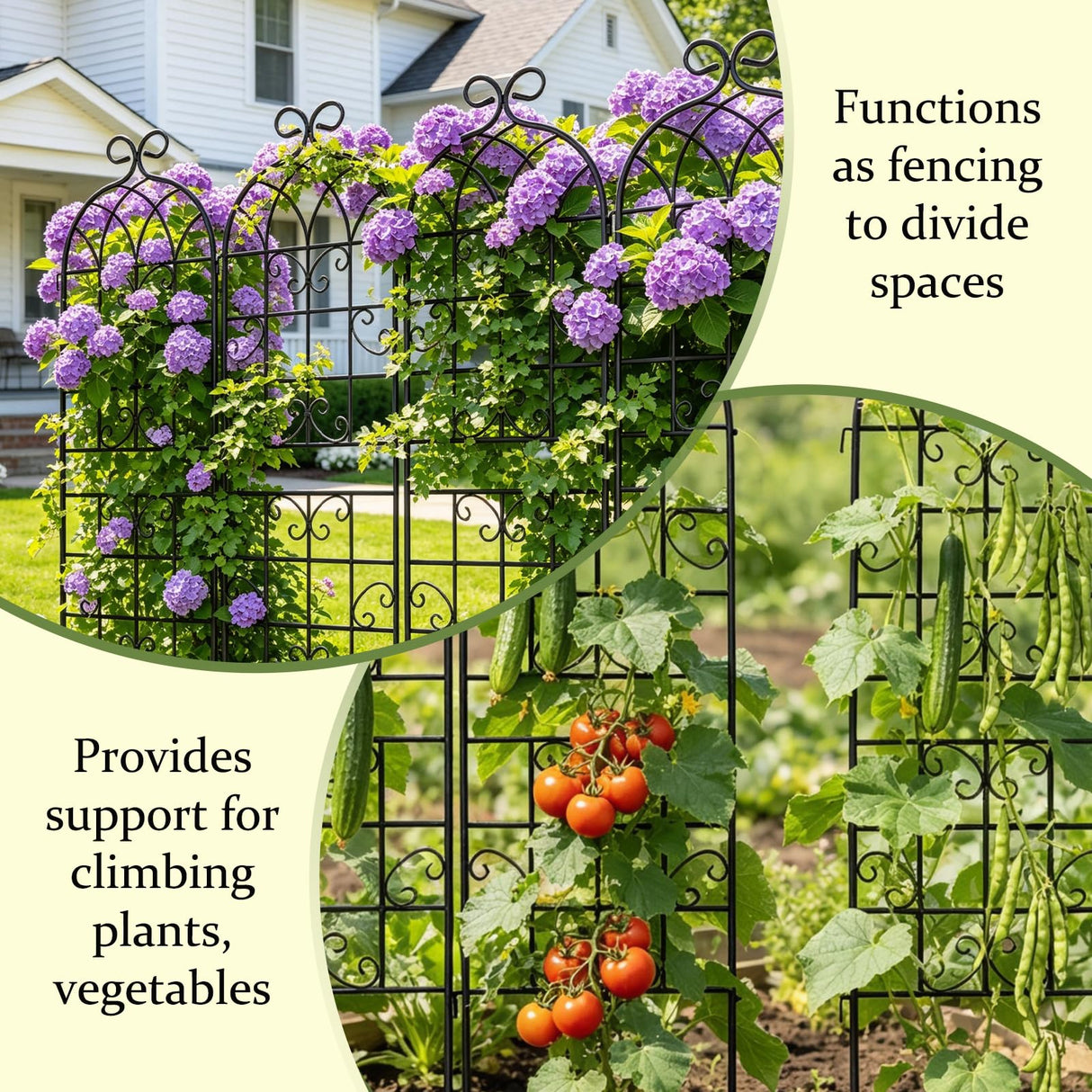 Lorenzo 2 Pcs 70 x 20 Inch Rustic Iron Garden Trellis for Climbing Plants Outdoor, Black Metal Arch Decoration Plant Supporting Perfect for Roses Flower Cucumbers Courtyards Lawns Clematis