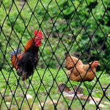 DQS Bird Netting 50' x 50', 2.4" Square Mesh Garden Netting, Poultry Net