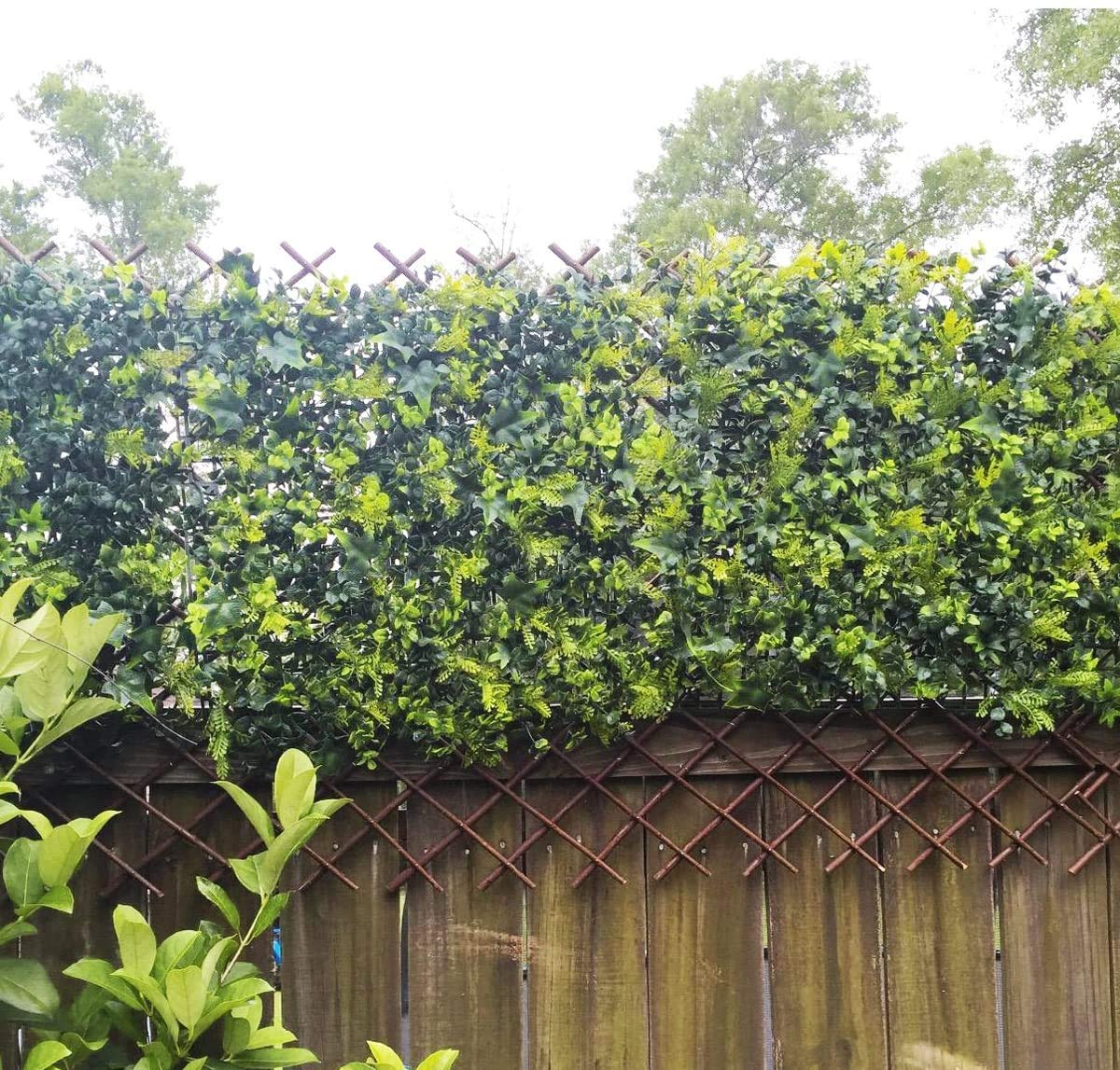 Helprise Expandable Willow Lattice Fence Panel Plant Support Garden Trellis Willow Trellis Fence for Climbing Plants Vine Ivy Rose Cucumbers Clematis Outdoors Garden Yard,36X92 Inch(2PC)