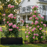 4 Pack Garden Trellis for Climbing Plants, 71 x 20 inch Rustproof Heavy Duty Metal Trellis for Climbing Rose Vine Clematis, Perfect for Premium Patio Decor & Luxury Outdoor Garden Design, Silver Gray