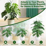 10 Pack Stackable Monstera Plant Support, Garden Stakes for Climing Plants Stem Support, Durable Plant Accessories for Indoor Outdoor Potted Plants, Pothos, Vine, Flower Use