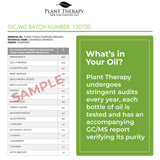 Plant Therapy Organic Helichrysum Italicum Essential Oil 100% Pure, USDA Certified Organic, Undiluted, Natural Aromatherapy, Therapeutic Grade 5 mL (1/6 oz)