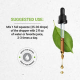 Dandelion Leaf USDA Organic | Alcohol-FREE Extract, High-Potency Herbal Drops, Digestive System | Made from 100% Certified Organic Dandelion Leaf (Taraxacum Officinale) Dried Leaf 2 oz