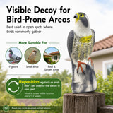 GiftExpress 16.5" Scarecrow Eagle Fake Hawk Decoy Statue, Pest Repellent, Bird Control, Garden Protectors, Outdoor Falcon Garden Décor, Eagle Repeller