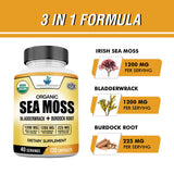 American Standard Supplements Organic Sea Moss, Bladderwrack & Burdock Root Capsules - 1200mg Sea Moss, 1200mg Bladderwrack, 225mg Burdock Root Per Serving - 120 Capsules, 40 Servings