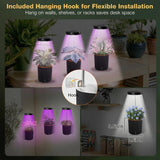 Raygrov Self-Watering Planter with Grow Light, Smart Indoor Pot for Venus Fly Trap, Carnivorous Plants, African Violet, Cat Grass, Catnip & Herbs, 2-in-1 Wall + Desktop, USB 5W Full Spectrum LED