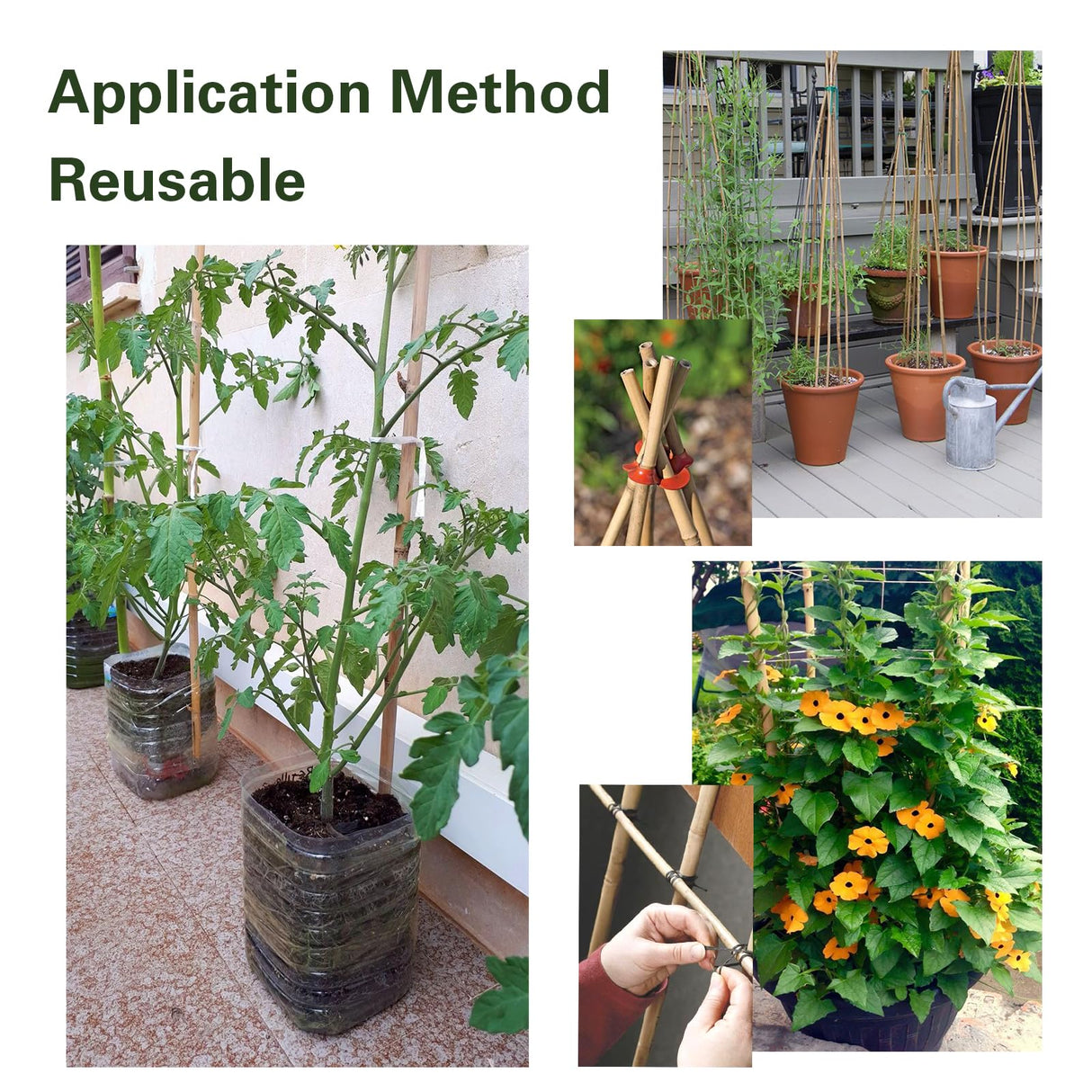 Sprigra Bamboo Stakes 3FT 30pcs, 36 inch Garden Stakes Multi-Purpose, Bamboo Plant Support Stakes for Tomatoes, Beans, Peppers, Flowers, Potted, Maintain the Plant Posture, Strengthen and Stem