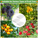Tetutor 10x10 FT Fruit Trees Netting,3Pcs Large Tree Nets for Fruit Trees